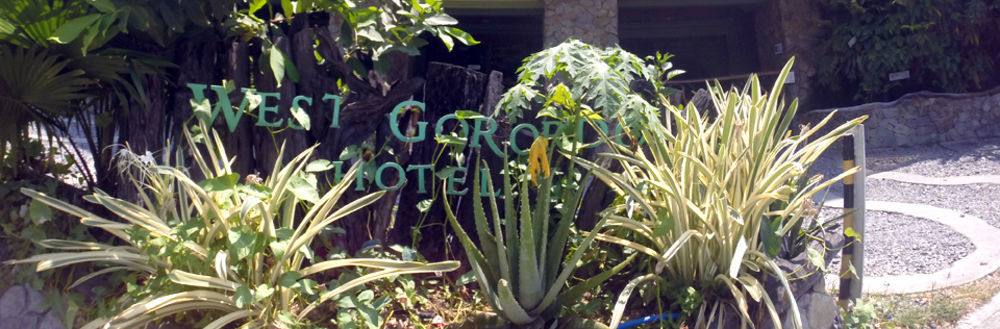 West Gorordo Hotel Cebu Buitenkant foto